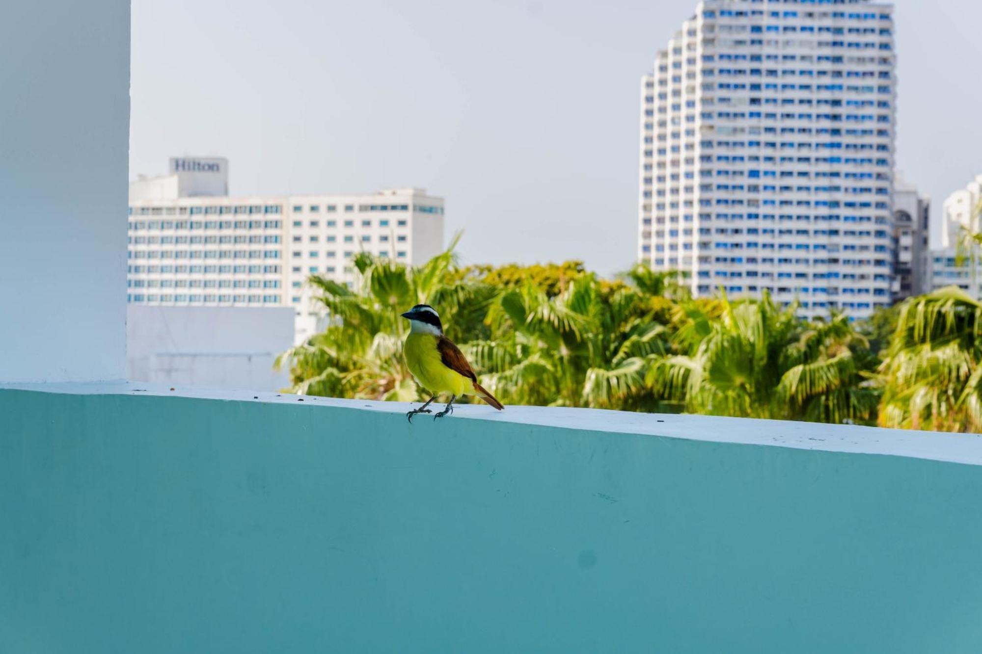 Hotel Coral Reef Cartagena Exterior foto